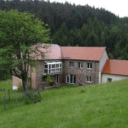 Gite Hansel De La Ferme Du Schneeberg Wangenbourg-Engenthal Ngoại thất bức ảnh