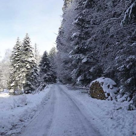 Gite Hansel De La Ferme Du Schneeberg Wangenbourg-Engenthal Ngoại thất bức ảnh