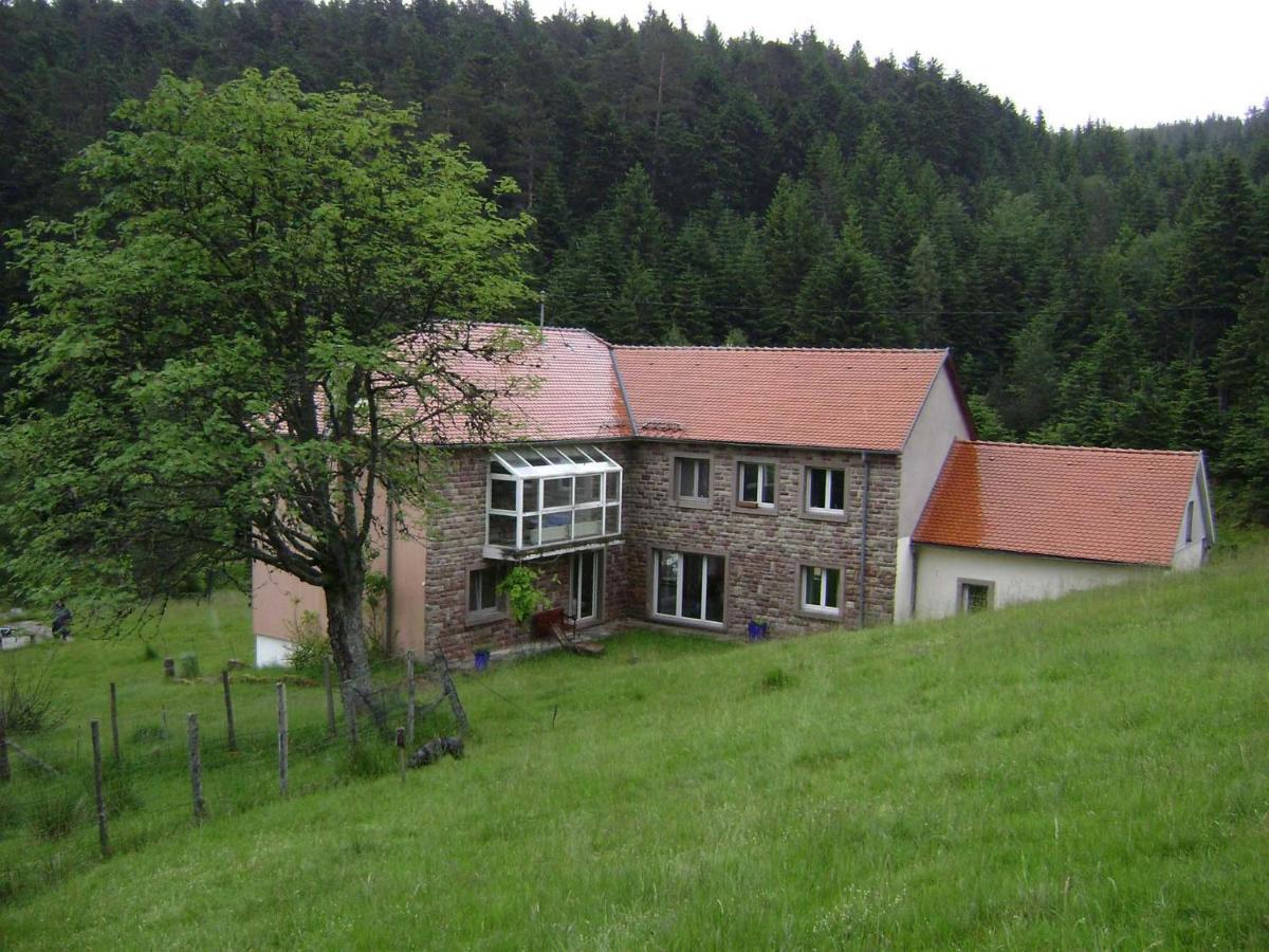 Gite Hansel De La Ferme Du Schneeberg Wangenbourg-Engenthal Ngoại thất bức ảnh