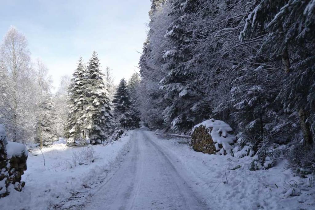 Gite Hansel De La Ferme Du Schneeberg Wangenbourg-Engenthal Ngoại thất bức ảnh
