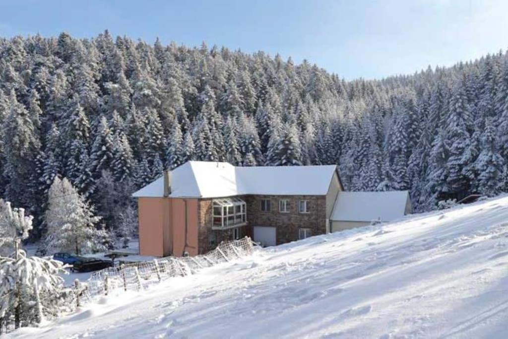 Gite Hansel De La Ferme Du Schneeberg Wangenbourg-Engenthal Ngoại thất bức ảnh