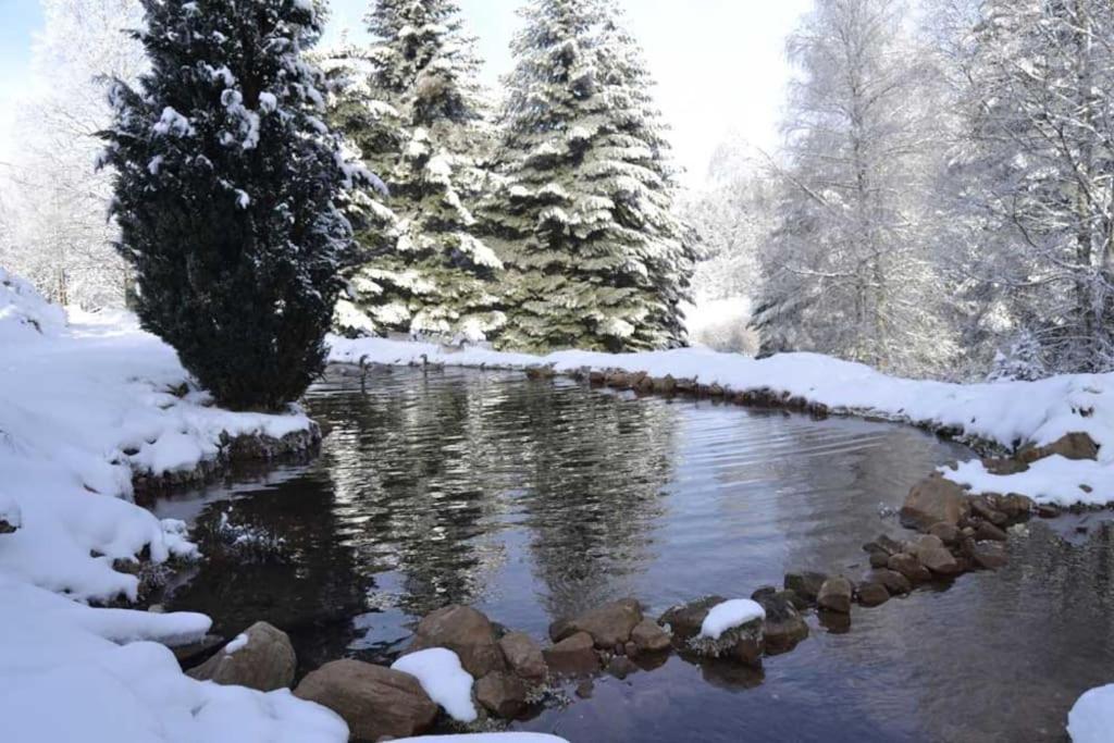 Gite Hansel De La Ferme Du Schneeberg Wangenbourg-Engenthal Ngoại thất bức ảnh