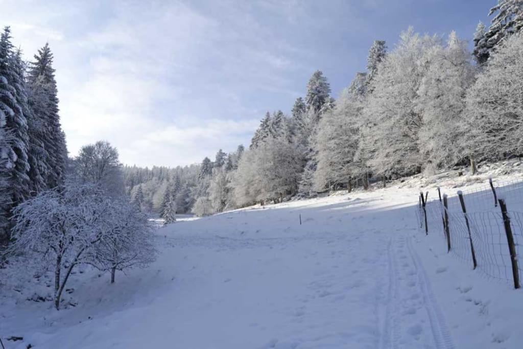 Gite Hansel De La Ferme Du Schneeberg Wangenbourg-Engenthal Ngoại thất bức ảnh